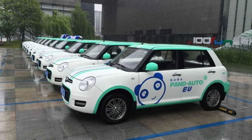 共享汽车梦碎 前重庆首富的滑铁卢与行业反思